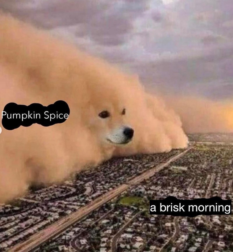 Pumpkin Spice a brisk morning!