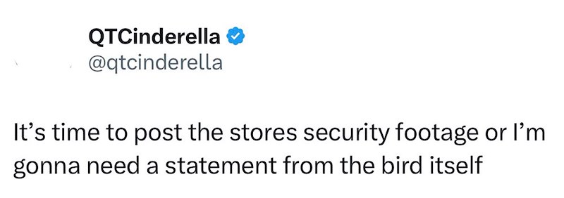 QTCinderella ❤ @qtcinderella It's time to post the stores security footage or I'm gonna need a statement from the bird itself
