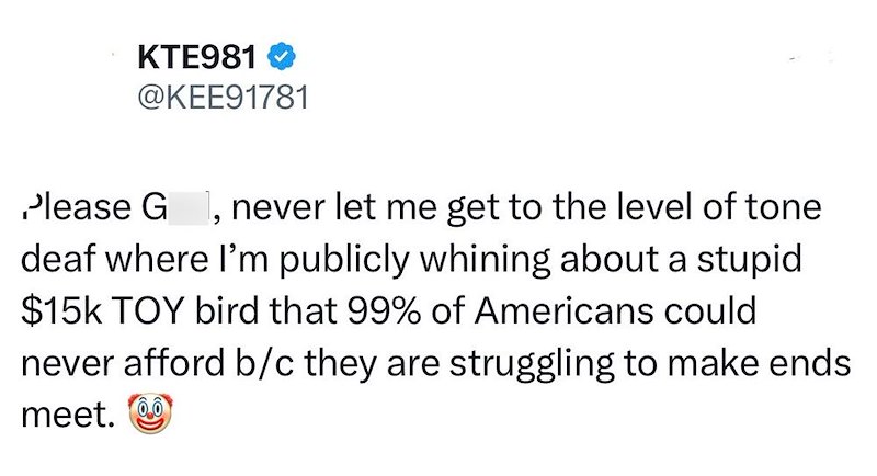 KTE981 @KEE91781 Please G, never let me get to the level of tone deaf where I'm publicly whining about a stupid $15k TOY bird that 99% of Americans could never afford b/c they are struggling to make ends meet.