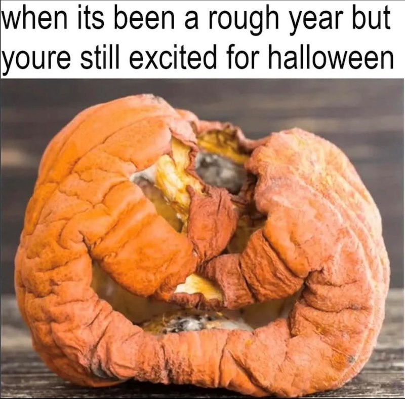 when its been a rough year but youre still excited for halloween
