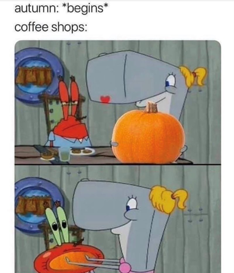 autumn: *begins* coffee shops:
