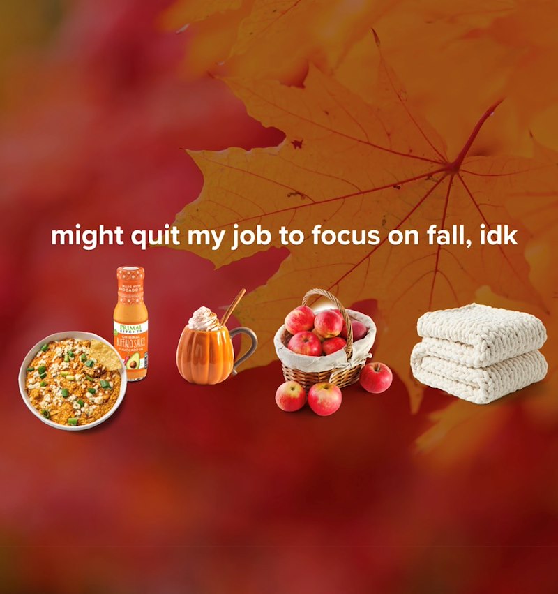 might quit my job to focus on fall, idk FRIMAL BUFFALO SALLE