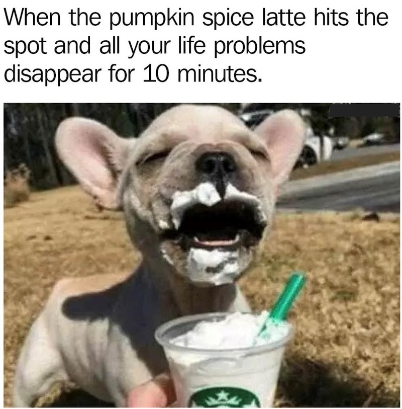 When the pumpkin spice latte hits the spot and all your life problems disappear for 10 minutes.