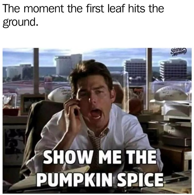 The moment the first leaf hits the ground. SHOW ME THE PUMPKIN SPICE Scan Momm