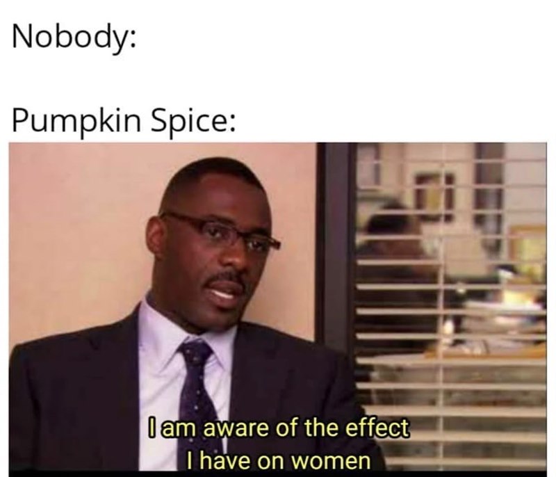 Nobody: Pumpkin Spice: I am aware of the effect I have on women