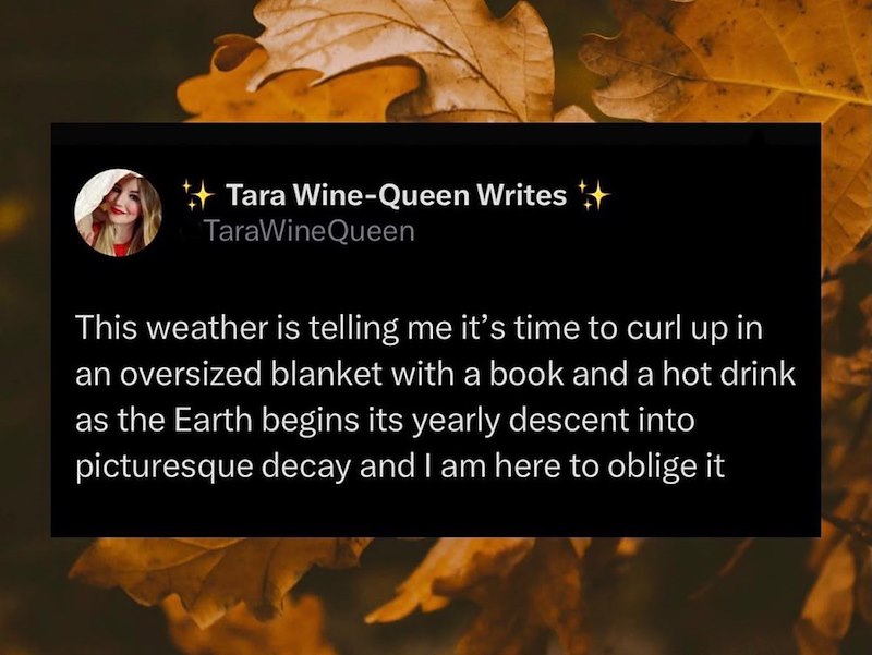 Tara Wine-Queen Writes TaraWineQueen This weather is telling me it's time to curl up in an oversized blanket with a book and a hot drink as the Earth begins its yearly descent into picturesque decay and I am here to oblige it