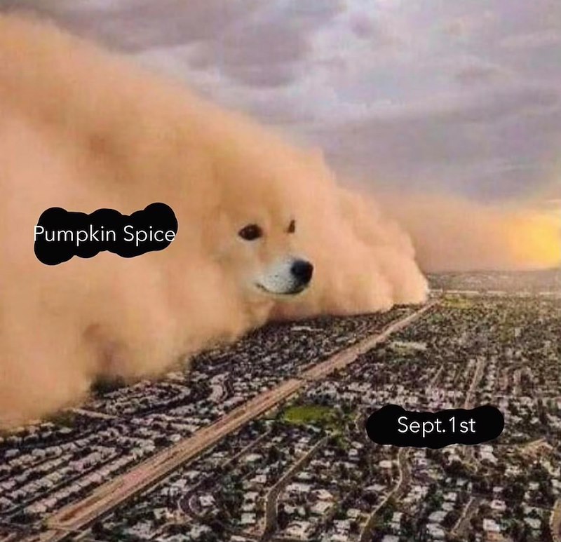 Pumpkin Spice Sept. 1st