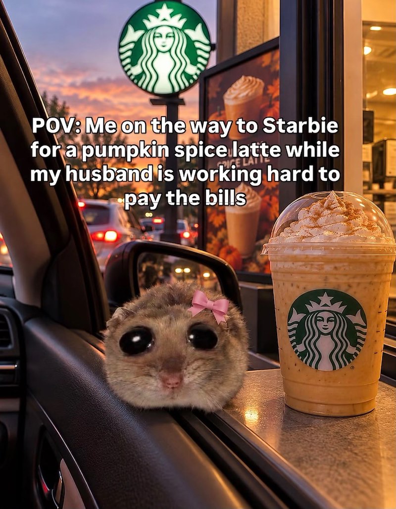 POV: Me on the way to Starbie for a pumpkin spice latte while my husband is working hard to pay the bills TRIGE