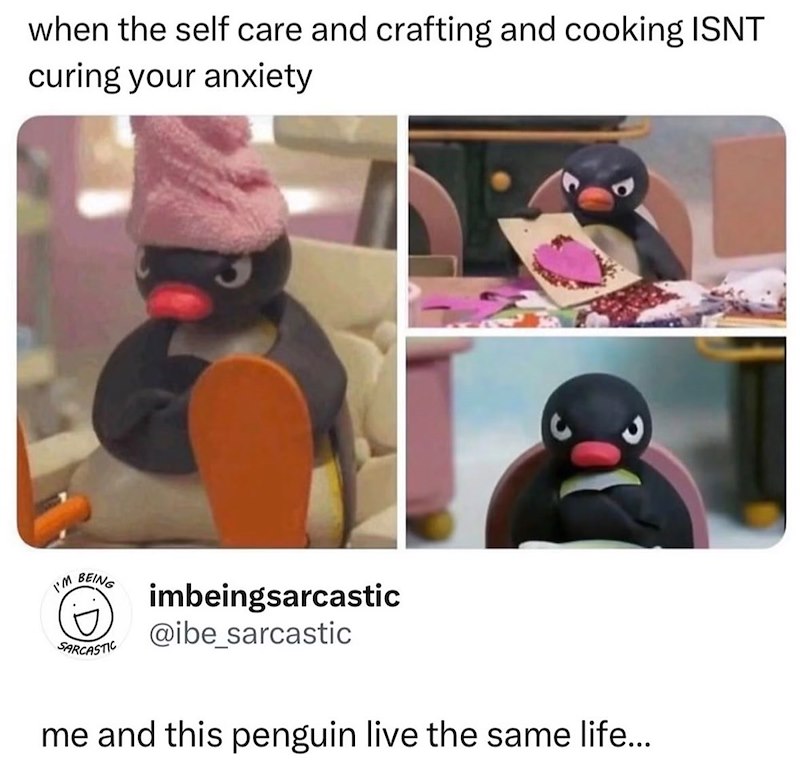 when the self care and crafting and cooking ISNT curing your anxiety I'm BEING SARCASTIC imbeingsarcastic @ibe_sarcastic me and this penguin live the same life...