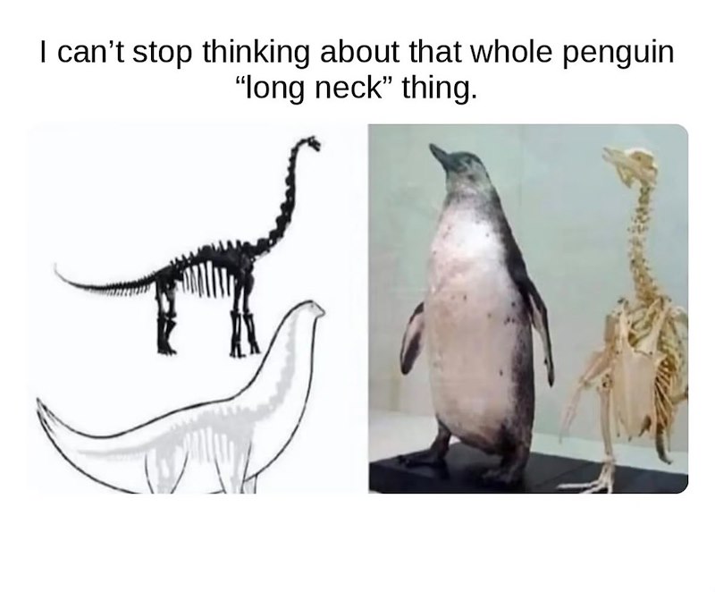 I can't stop thinking about that whole penguin "long neck" thing.