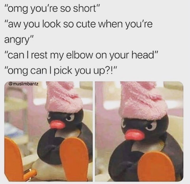 "omg you're so short" "aw you look so cute when you're angry" "can I rest my elbow on your head" "omg can I pick you up?!" @muslimbantz