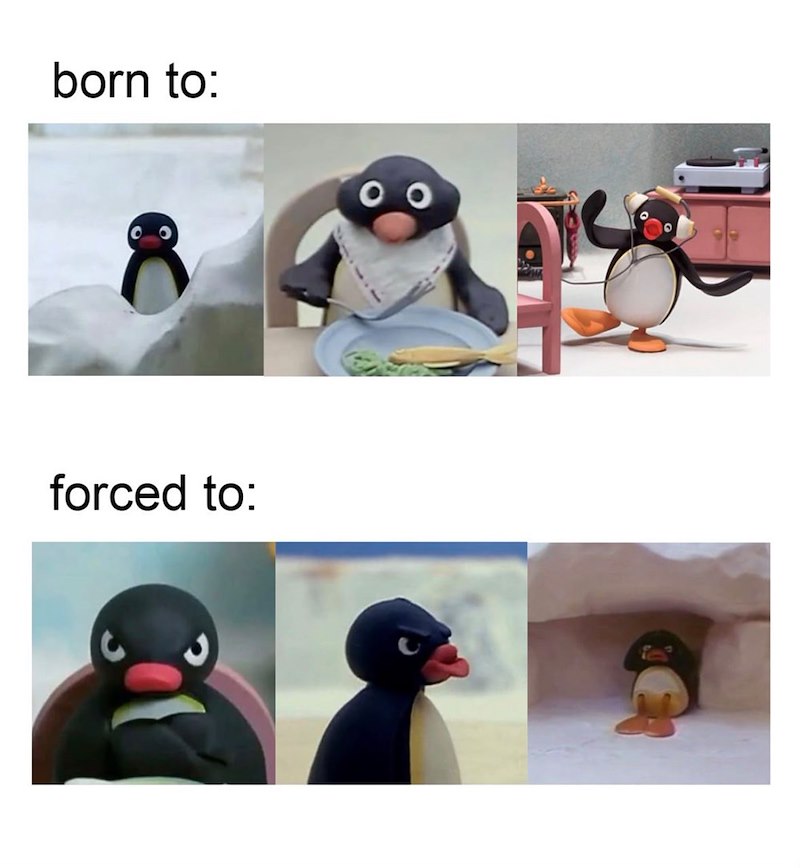 born to: forced to: