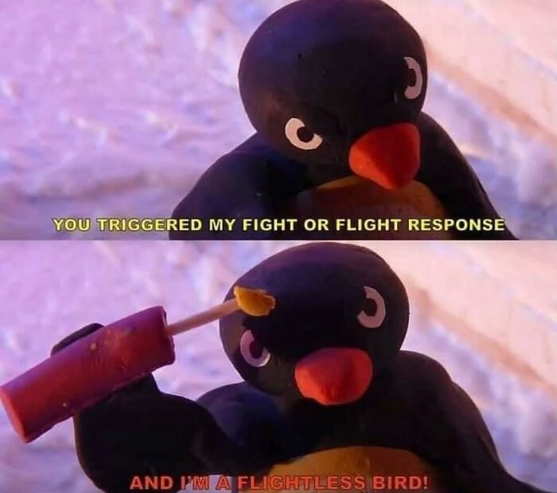 YOU TRIGGERED MY FIGHT OR FLIGHT RESPONSE AND I'M A FLIGHTLESS BIRD!