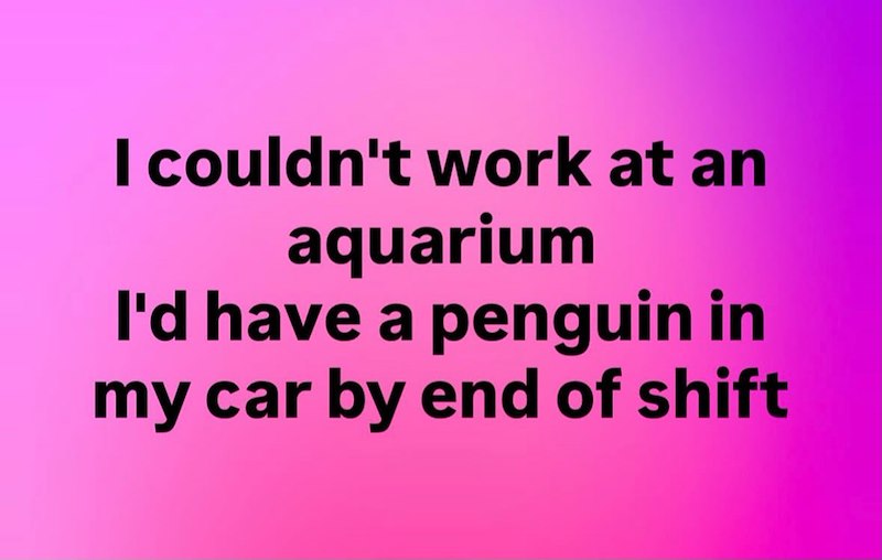 I couldn't work at an aquarium I'd have a penguin in my car by end of shift