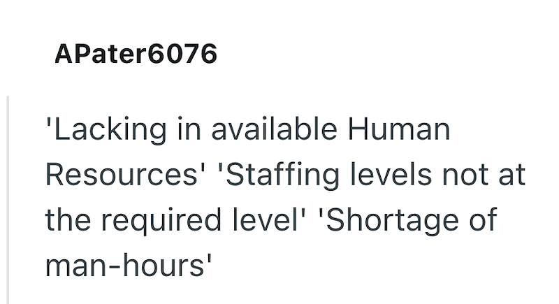 APater6076 'Lacking in available Human Resources' 'Staffing levels not at the required level' 'Shortage of man-hours'