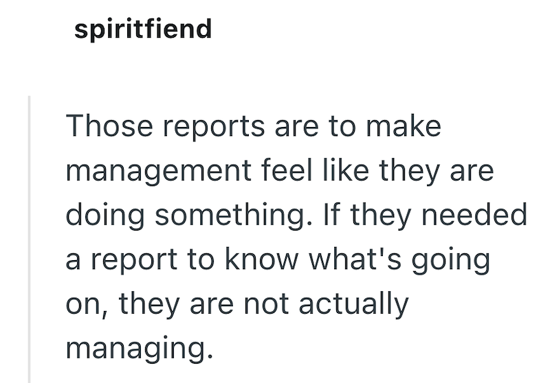spiritfiend Those reports are to make management feel like they are doing something. If they needed a report to know what's going on, they are not actually managing.
