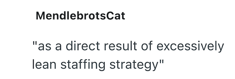 MendlebrotsCat "as a direct result of excessively lean staffing strategy"
