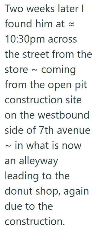 Two weeks later I found him at ≈ 10:30pm across the street from the store ~ coming from the open pit construction site on the westbound side of 7th avenue ~ in what is now an alleyway leading to the donut shop, again due to the construction.