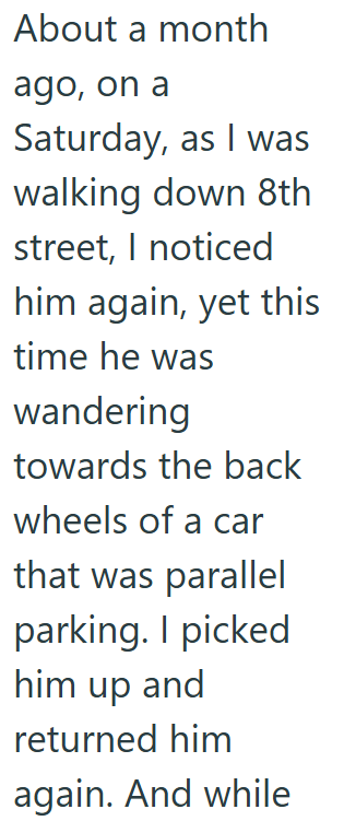 About a month ago, on a Saturday, as I was walking down 8th street, I noticed him again, yet this time he was wandering towards the back wheels of a car that was parallel parking. I picked him up and returned him again. And while