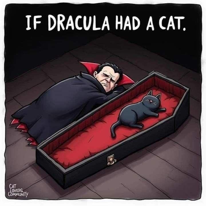 CAT LOVERS COMMUNITY IF DRACULA HAD A CAT.