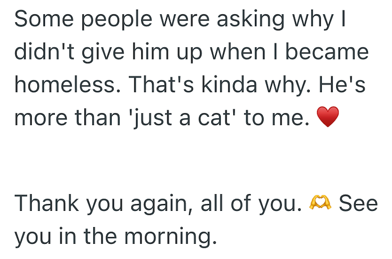 Some people were asking why I didn't give him up when I became homeless. That's kinda why. He's more than 'just a cat' to me. Thank you again, all of you. See you in the morning.