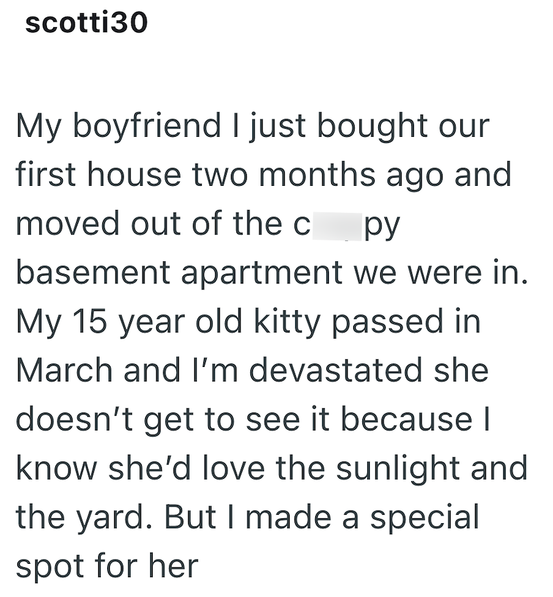 scotti30 My boyfriend I just bought our first house two months ago and moved out of the c py basement apartment we were in. My 15 year old kitty passed in March and I'm devastated she doesn't get to see it because I know she'd love the sunlight and the yard. But I made a special spot for her