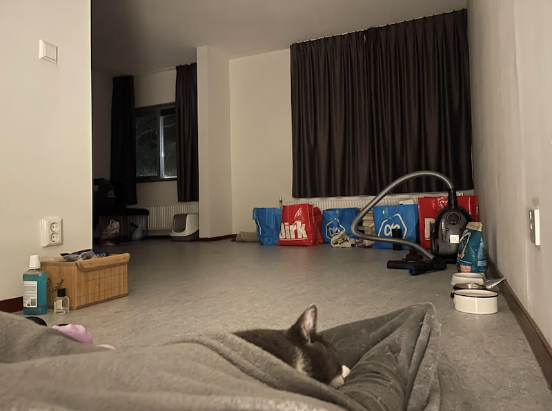 Jirk