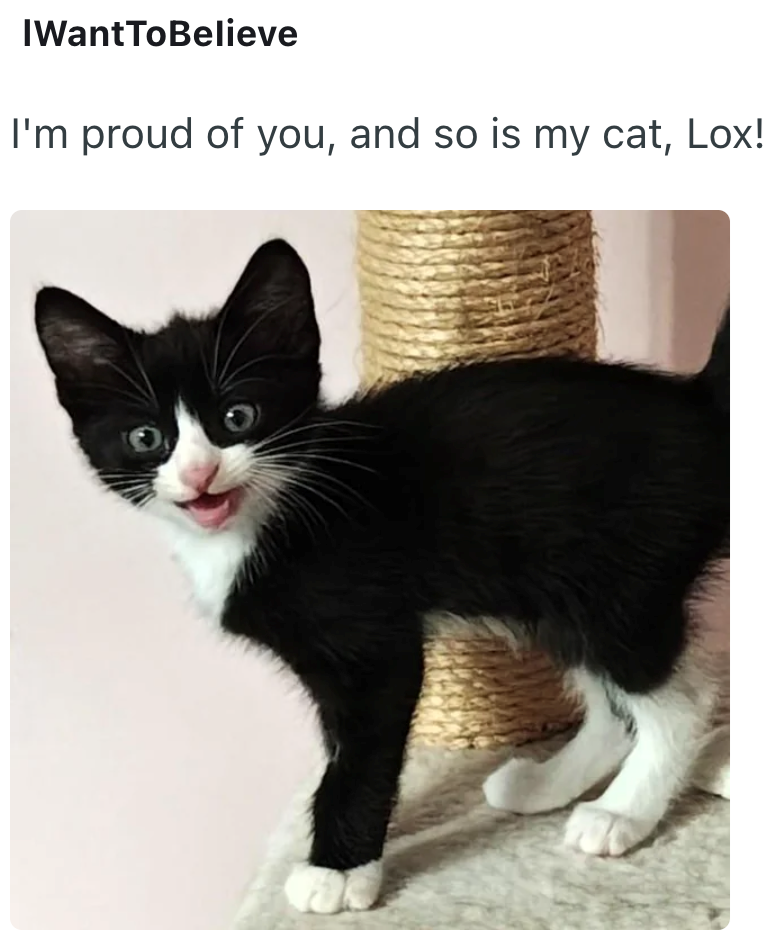 IWantToBelieve I'm proud of you, and so is my cat, Lox!