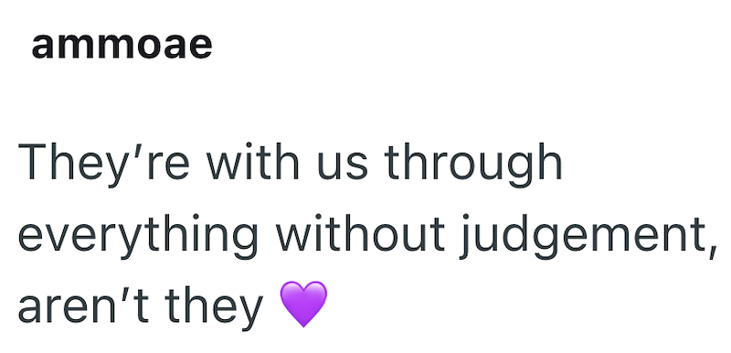 ammoae They're with us through everything without judgement, aren't they