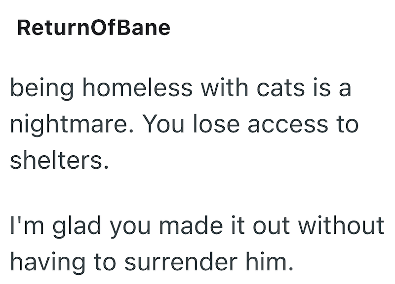 ReturnOfBane being homeless with cats is a nightmare. You lose access to shelters. I'm glad you made it out without having to surrender him.