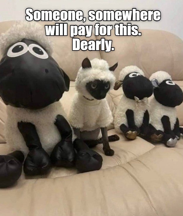 Someone, somewhere will pay for this. Dearly. g C