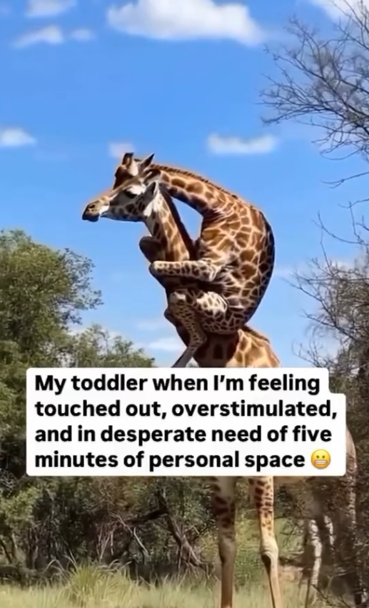 My toddler when I'm feeling touched out, overstimulated, and in desperate need of five minutes of personal space
