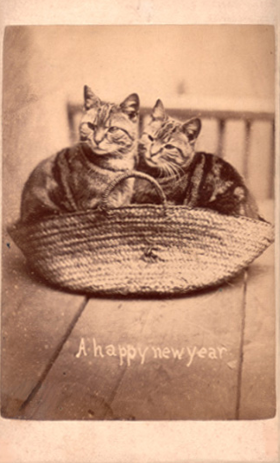 A happy new year