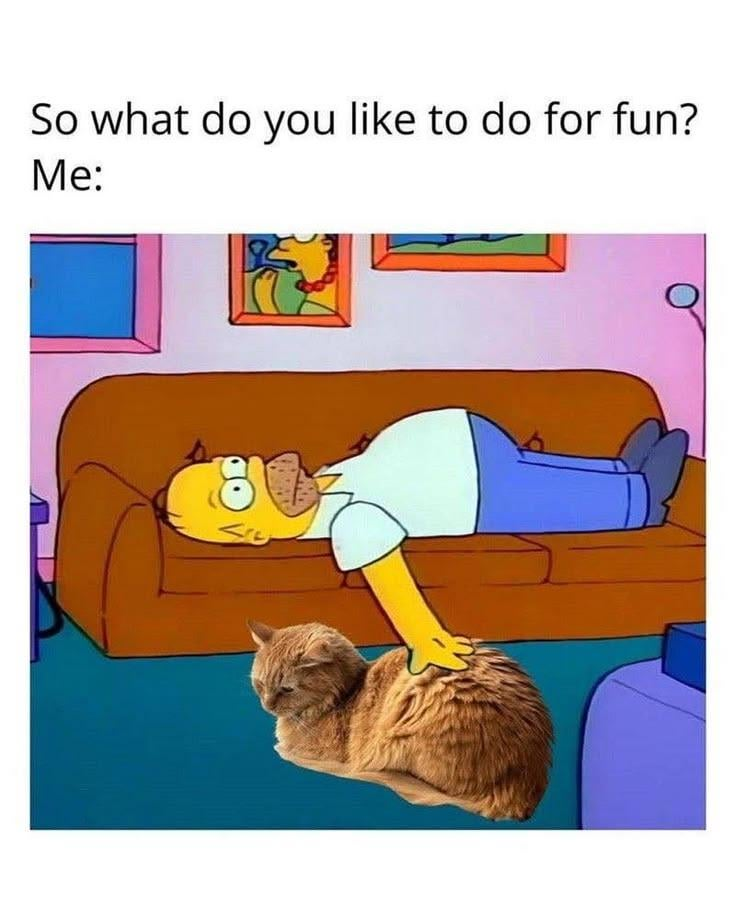 So what do you like to do for fun? Me: