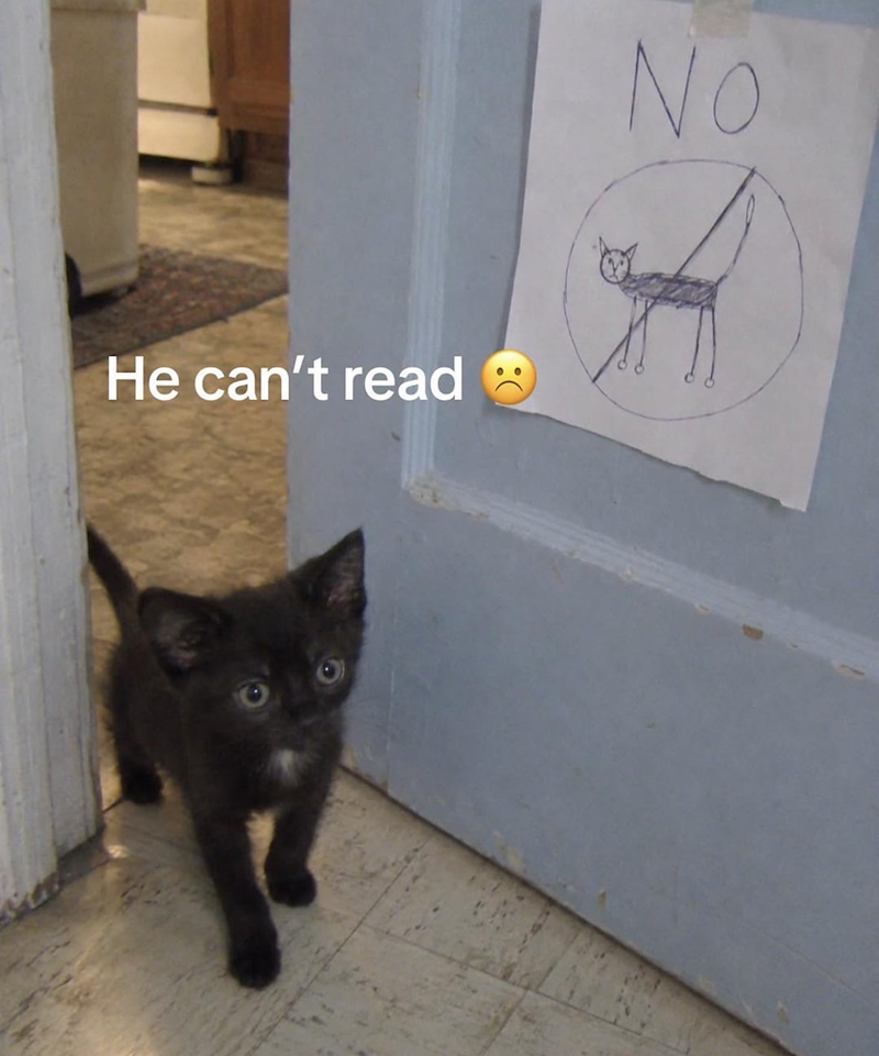 He can't read No
