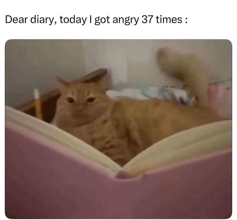 Dear diary, today I got angry 37 times :