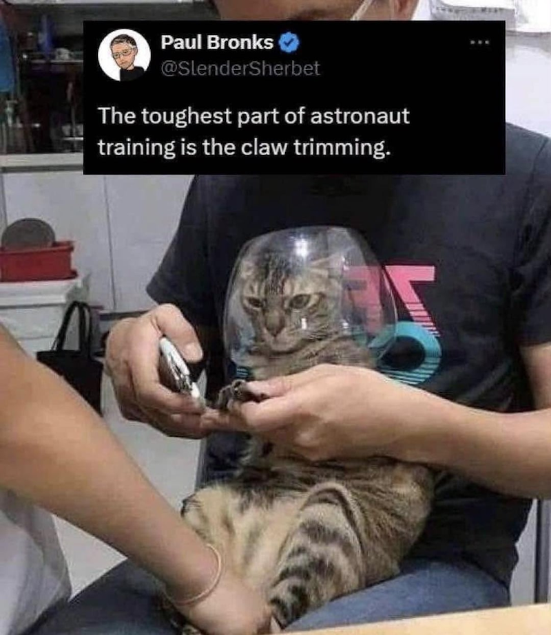 Paul Bronks @SlenderSherbet The toughest part of astronaut training is the claw trimming.