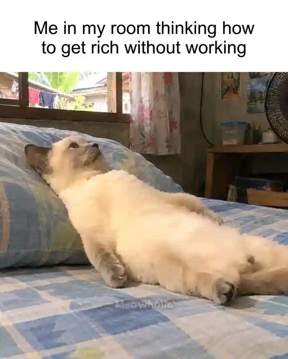 Me in my room thinking how to get rich without working Crowhote