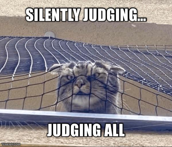 SILENTLY JUDGING... JUDGING ALL TEMEMY.COM