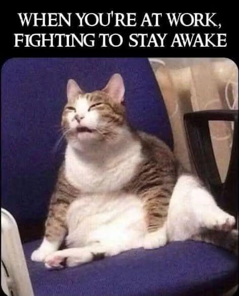 WHEN YOU'RE AT WORK, FIGHTING TO STAY AWAKE