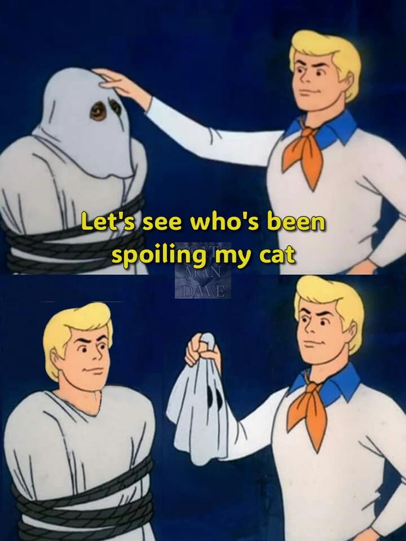 Let's see who's been spoiling my cat DAVE 16