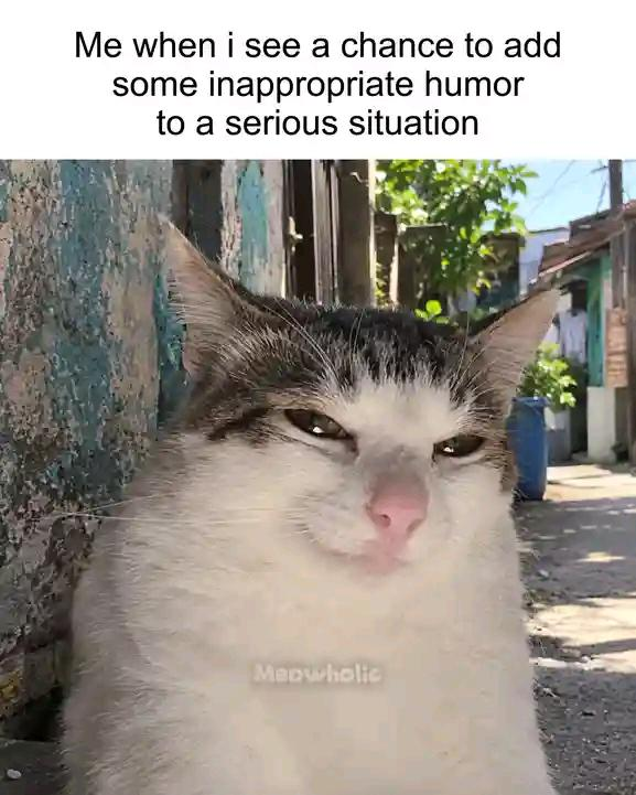 Me when i see a chance to add some inappropriate humor to a serious situation Meowholic