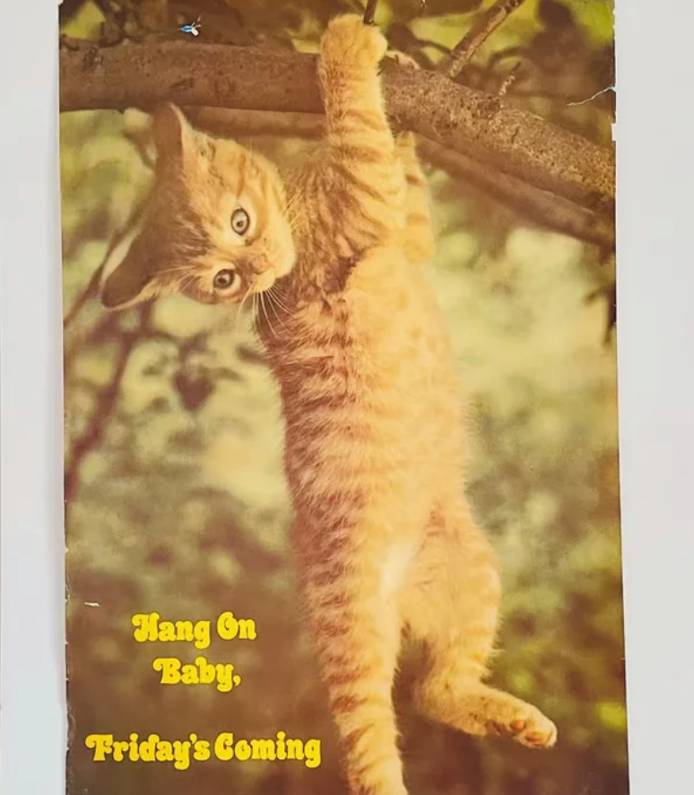 Hang On Baby, Friday's Coming