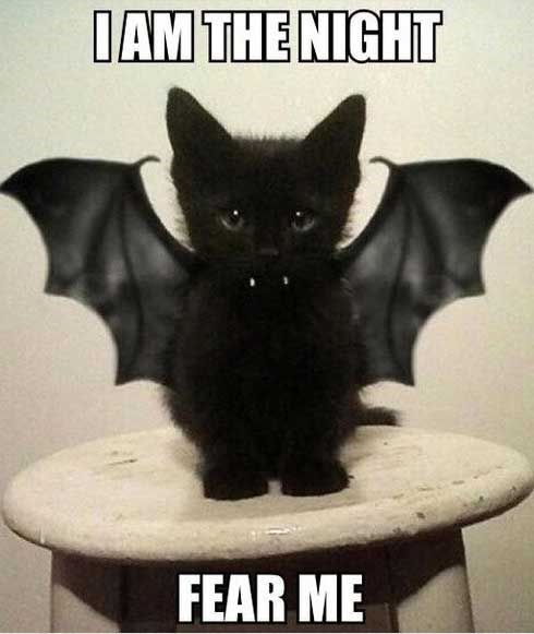 I AM THE NIGHT FEAR ME