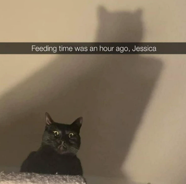Feeding time was an hour ago, Jessica
