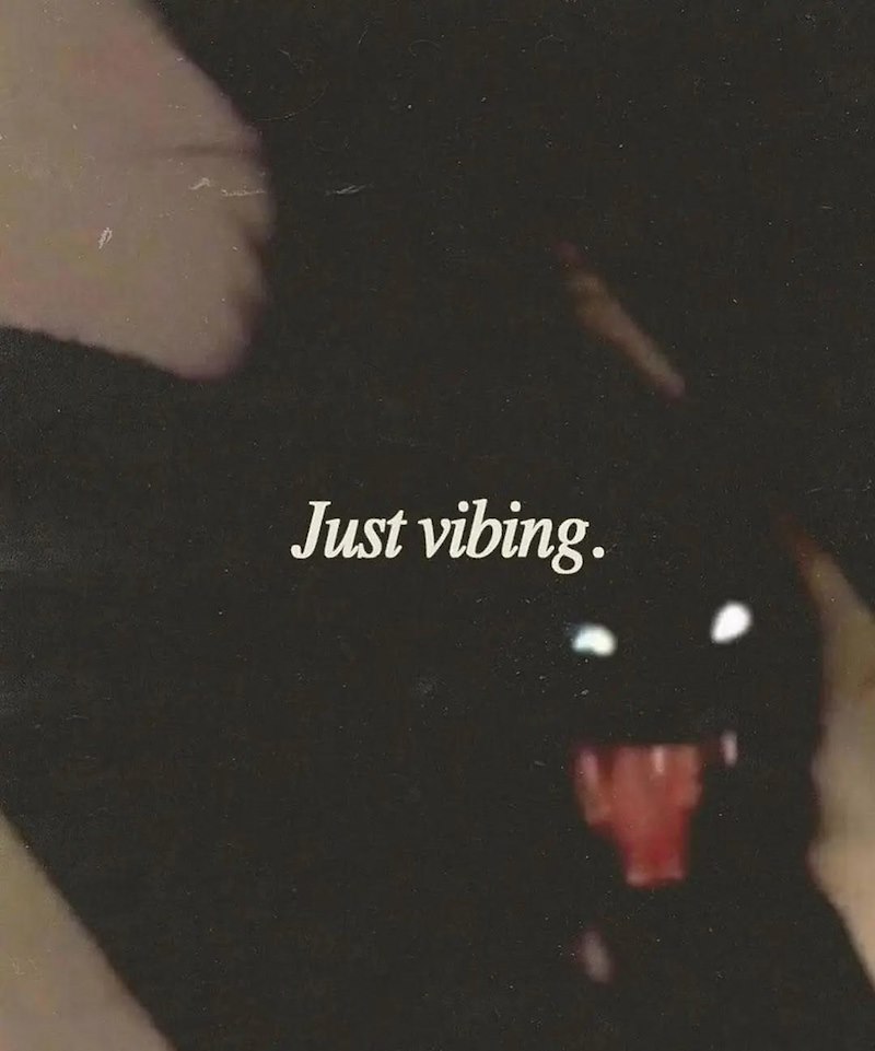 Just vibing.