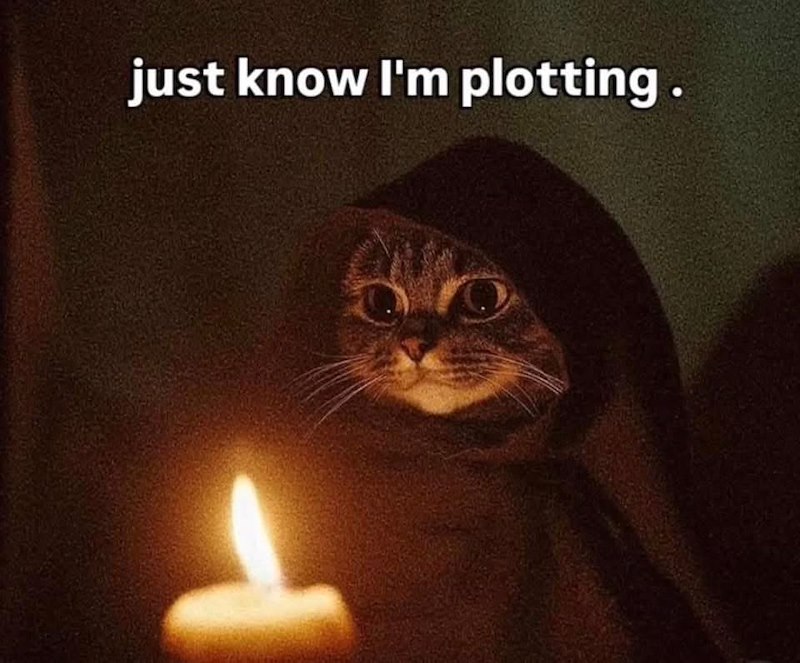 just know I'm plotting.