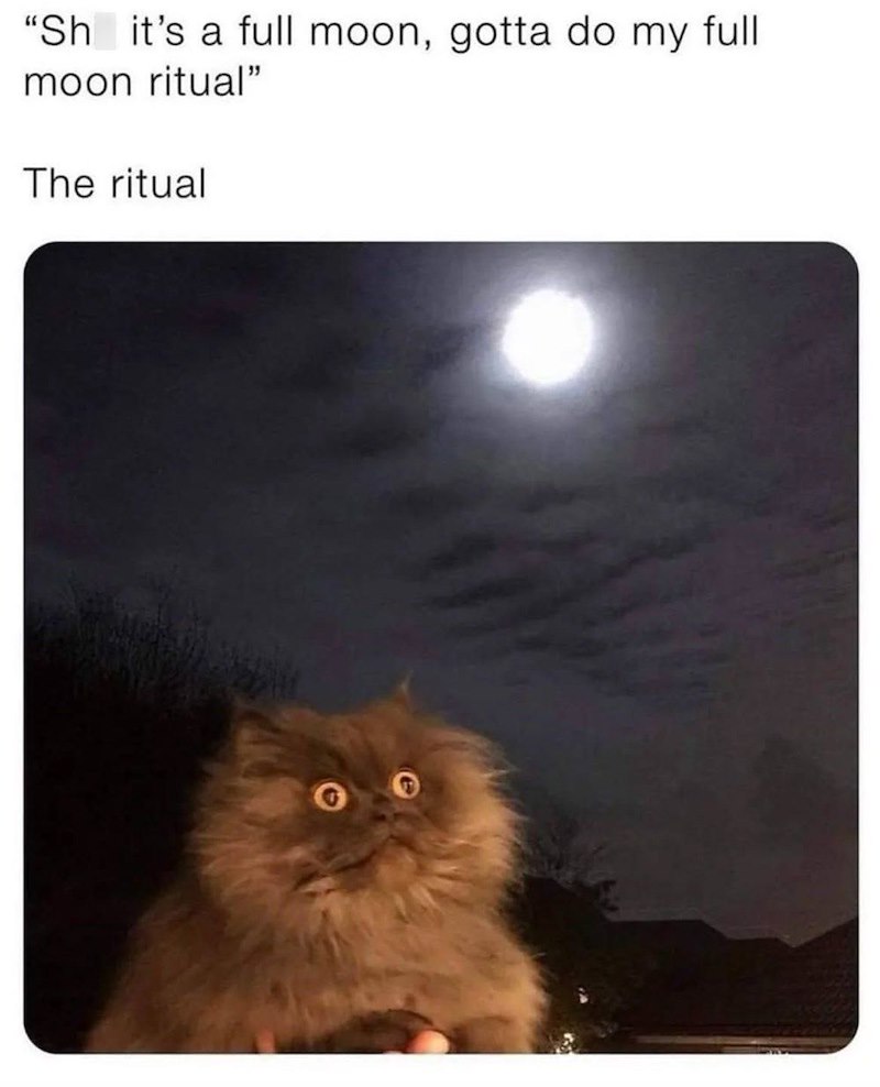 "Sh it's a full moon, gotta do my full moon ritual" The ritual
