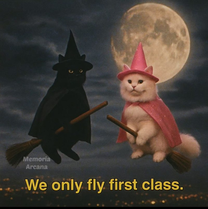 Memoria Arcana We only fly first class.
