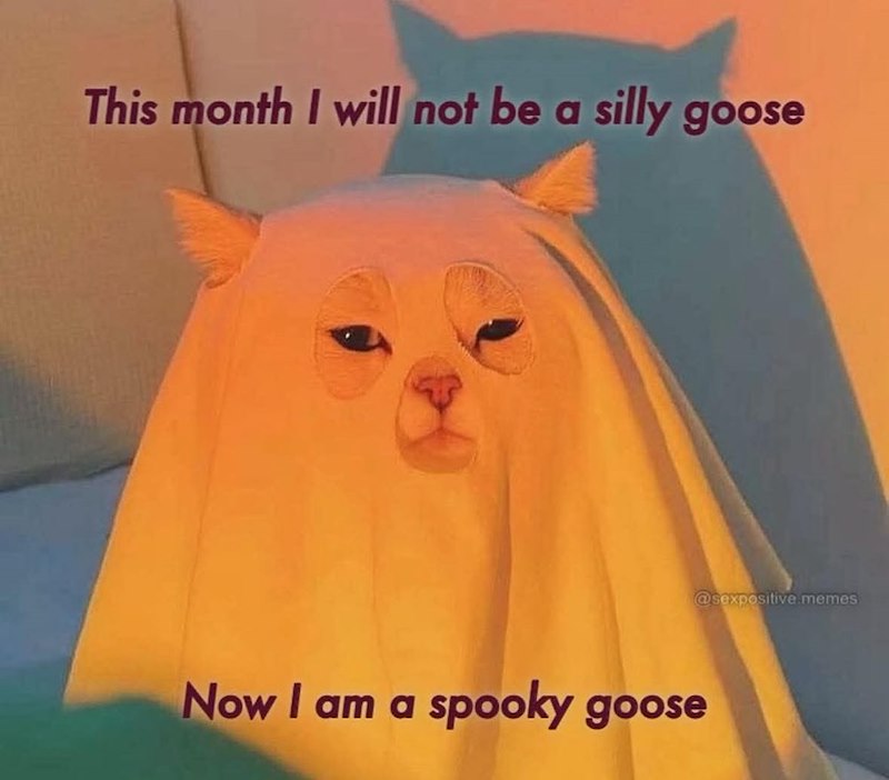 This month I will not be a silly goose Now I am a spooky goose @sexpositive.memes